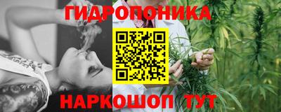 a pvp Ачхой-Мартан