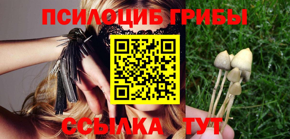 Галлюциногенные грибы мухоморы  Вход с VPN  Алушта 
