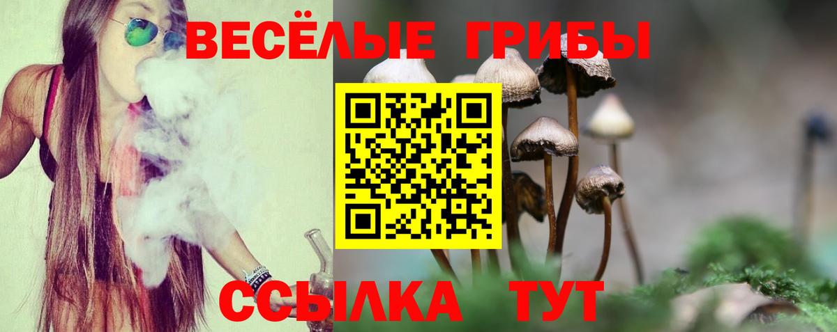 Псилоцибиновые грибы прущие грибы Алушта